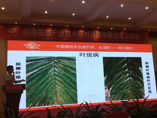 创新驱动，共赢未来——2018槟榔产业技术研讨交流会纪实与展望